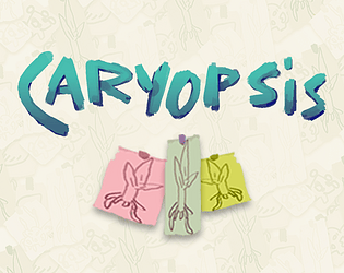 Caryopsis