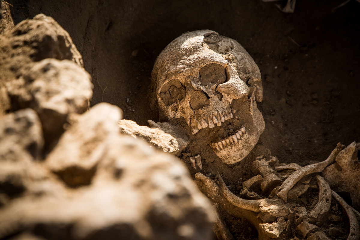 Squelette masculin d&eacute;couvert dans un cimeti&egrave;re franc du XIIIe si&egrave;cle &agrave; Atlit, en Isra&euml;l