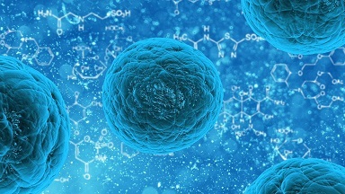 Biologie