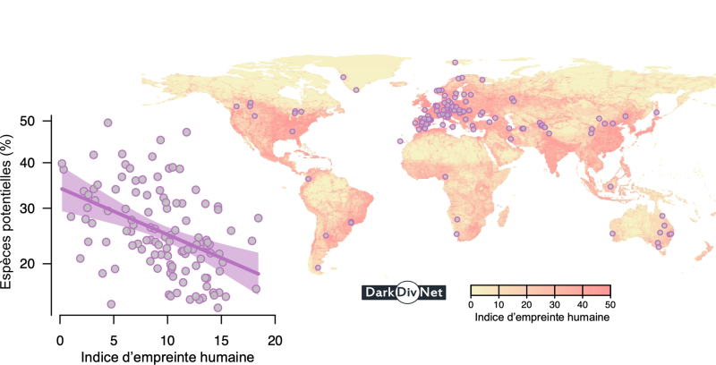 Richesse végétale en fonction de l’empreinte humaine, sur fond de carte des sites étudiés dans le projet DarkDivNet.