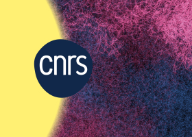 Le CNRS Rhône Auvergne publie son rapport d'activité 2024