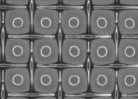 Pour bien imbiber un matériau hydrophobe, mieux vaut utiliser une pâte qu’un liquide ordinaire !