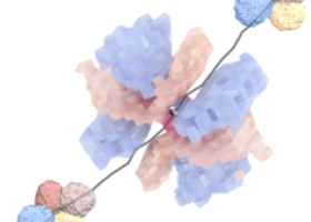 Comprendre la réponse mécanique des mousses en observant les bulles individuelles, c’est possible !