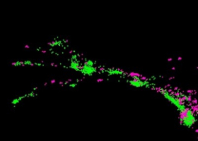 Des nanosondes brillantes pour une localisation super-résolue de protéines