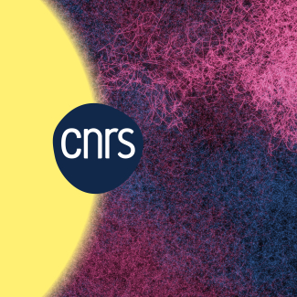 Le CNRS Rhône Auvergne publie son rapport d'activité 2024