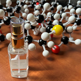 Vers une preuve de concept de prothèse olfactive : un premier pas pour restaurer l’odorat