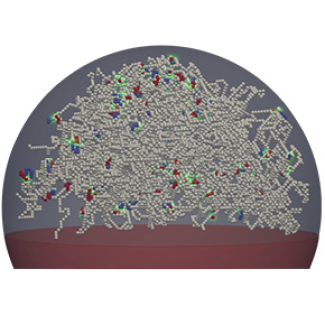 Quand dupliquer le génome redessine sa structure de fontaines en vagues