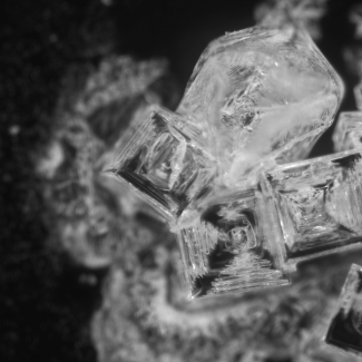 Cristaux de NaCl (chlorure de sodium, le sel de table classique) obtenus par évaporation lente d’une goutte d’eau salée © J. Trosseille / ILM