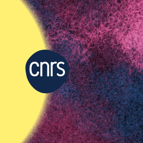 Le CNRS Rhône Auvergne publie son rapport d'activité 2024