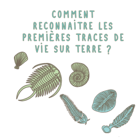 Comment reconnaitre les premières traces de vie sur Terre ?