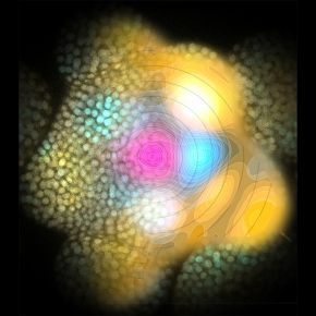 auxine