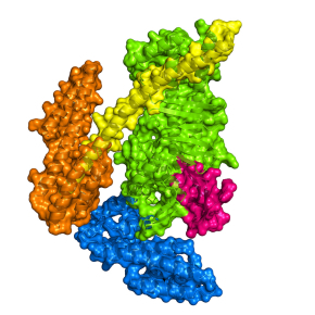 © Laurent TERRADOT/IBCP/BMSSI/CNRS Images