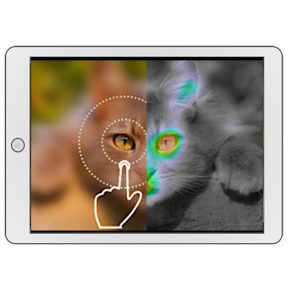 Digit-Tracking